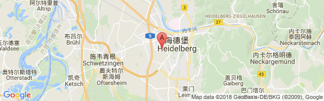 Heidelberg Army Airport图片