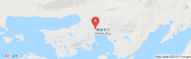 Pedro Bay Airport图片
