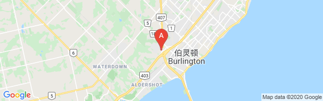 WESCAM Burlington Airport图片