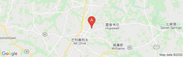 Mount Olive Municipal Airport图片