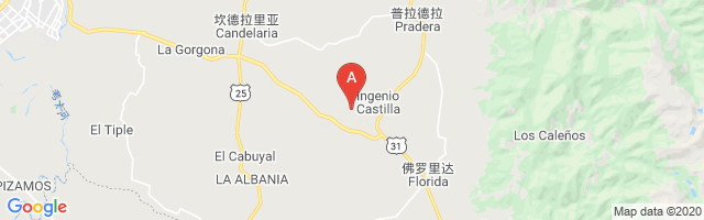 Castilla Central Airport图片
