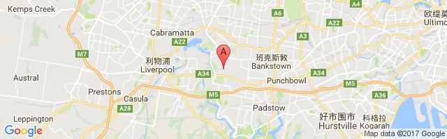 Sydney Bankstown Airport图片