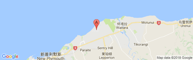 New Plymouth Airport图片