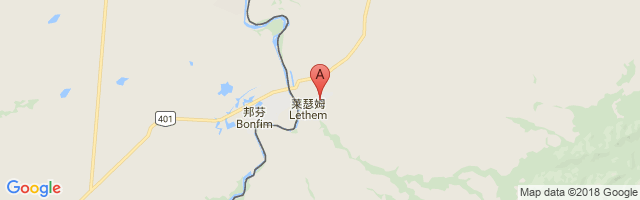 Lethem Airport图片