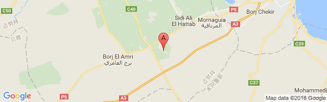 Borj El Amri Airport图片