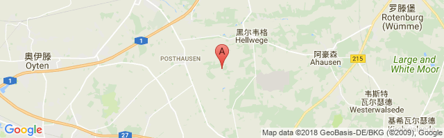 Weser-Wümme Airport图片