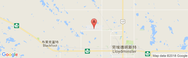 劳埃德明斯特机场 Lloydminster Airport图片