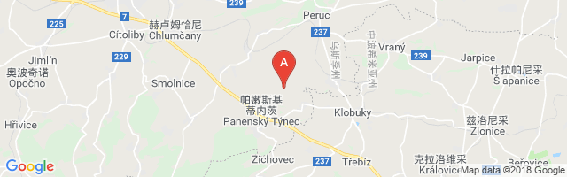 Panensky Tynec Airport图片