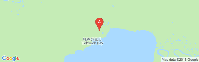 Toksook Bay Airport图片