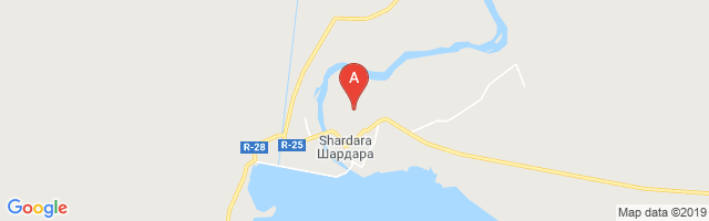 Chardara Airport图片