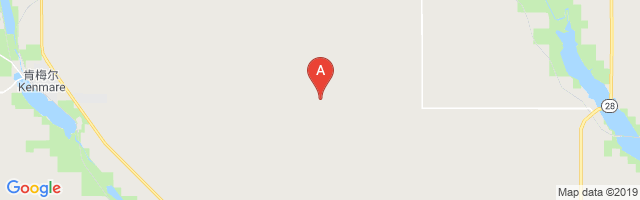 Bodmer Airport图片