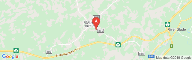 Havelock Airport图片