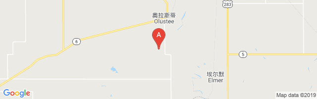 Olustee Municipal Airport图片