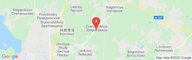Pushkino Airport图片