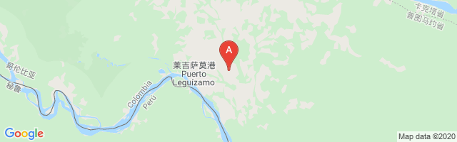 Leguizamo Airport图片