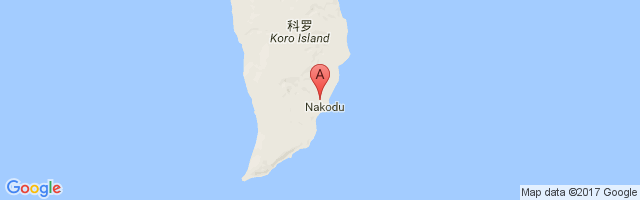 Koro Island Airport图片