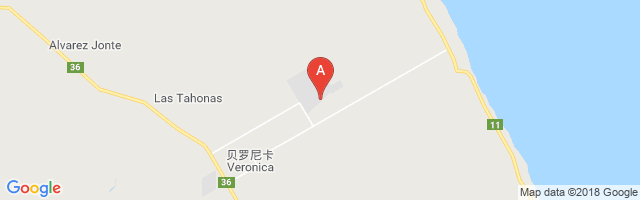 Punta Indio Airport图片