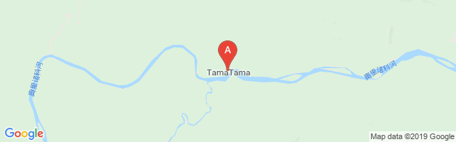 Tama Tama Field Airport图片
