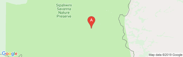 Sipaliwini Airport图片