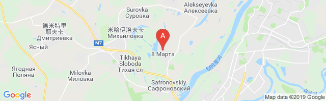Zabelskiy Airfield Airport图片