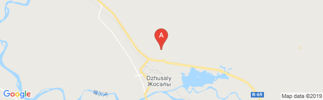 Zhosaly Airport图片