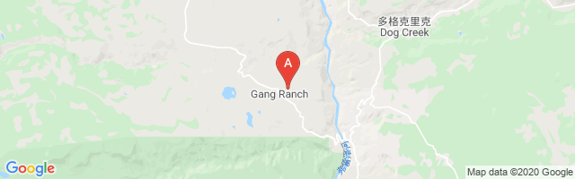 Gang Ranch Airport图片