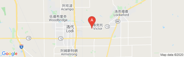 Ferdun Ranch Airport图片