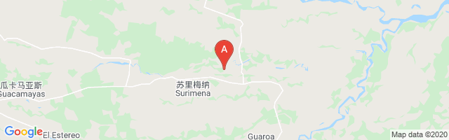 San Miguel Airport图片