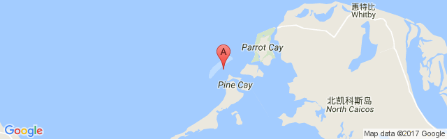 Pine Cay Airport图片