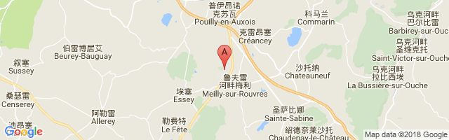 Pouilly Maconge Airport图片
