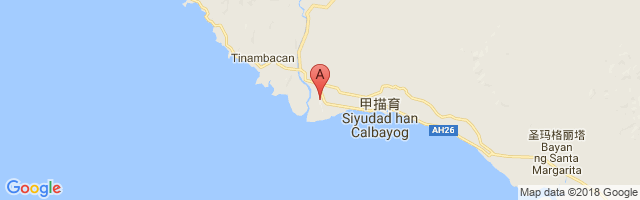 Calbayog Airport图片