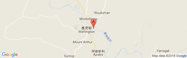 Wellington-Rygate Park Airport图片