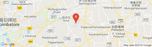 Coimbatore Air Force Station Airport图片