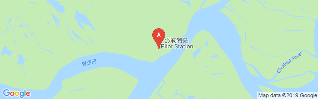 Pilot Station Airport图片