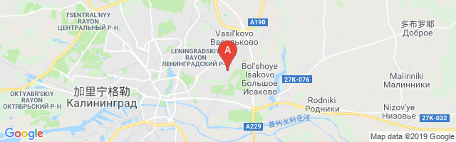 Kaliningrad Devau Airport图片