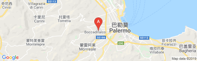 Palermo / Bocca Di Falco Airport图片