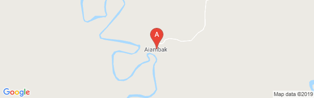 Aiambak Airport图片