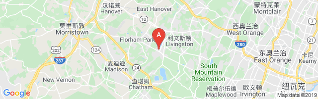 Newark Academy Airport图片