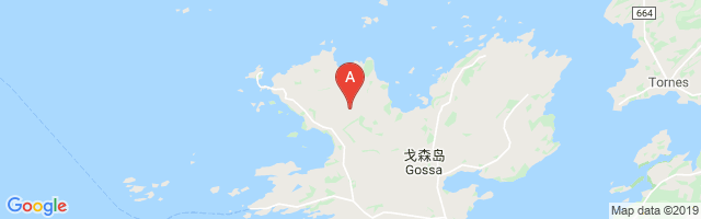 Gossen Airfield Airport图片