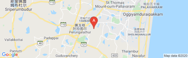 Tambaram Air Force Station Airport图片