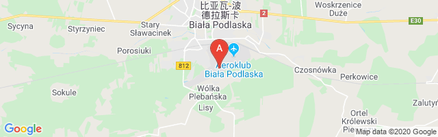 Biała Podlaska Airport图片