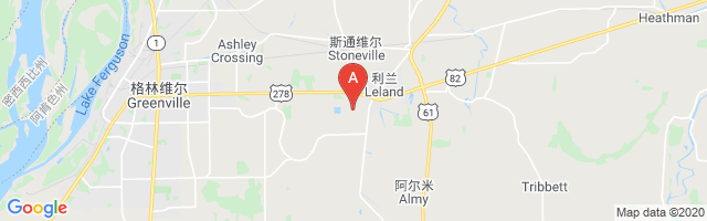 Lewis Air Service Airport图片