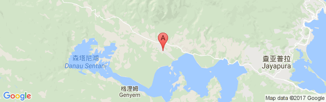 查亚普拉仙谷机场 Sentani Airport图片