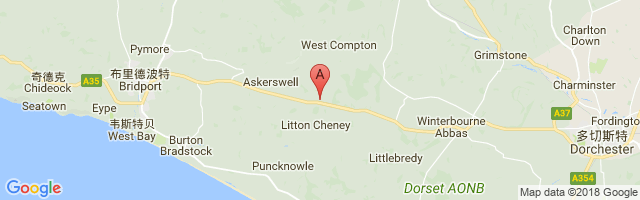 Stancombe Farm Airstrip (Private) Airport图片