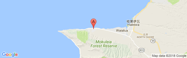 Dillingham Airfield Airport图片