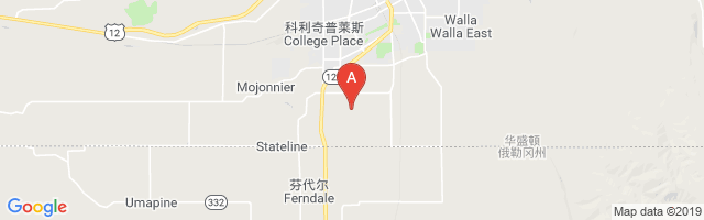 Page Airport图片