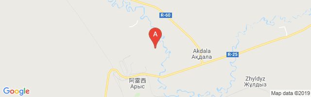 Arys Northeast Airport图片