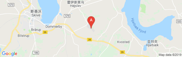 Skive Airport图片