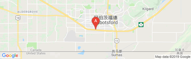Abbotsford (Regional Hospital & Cancer Centre) Airport图片