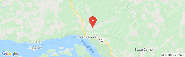 Skamokawa East Valley Airport图片